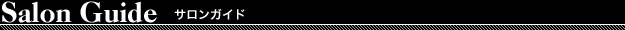 Salon Guide　サロンガイド