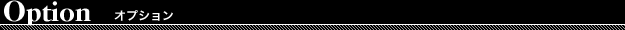 Option　オプション